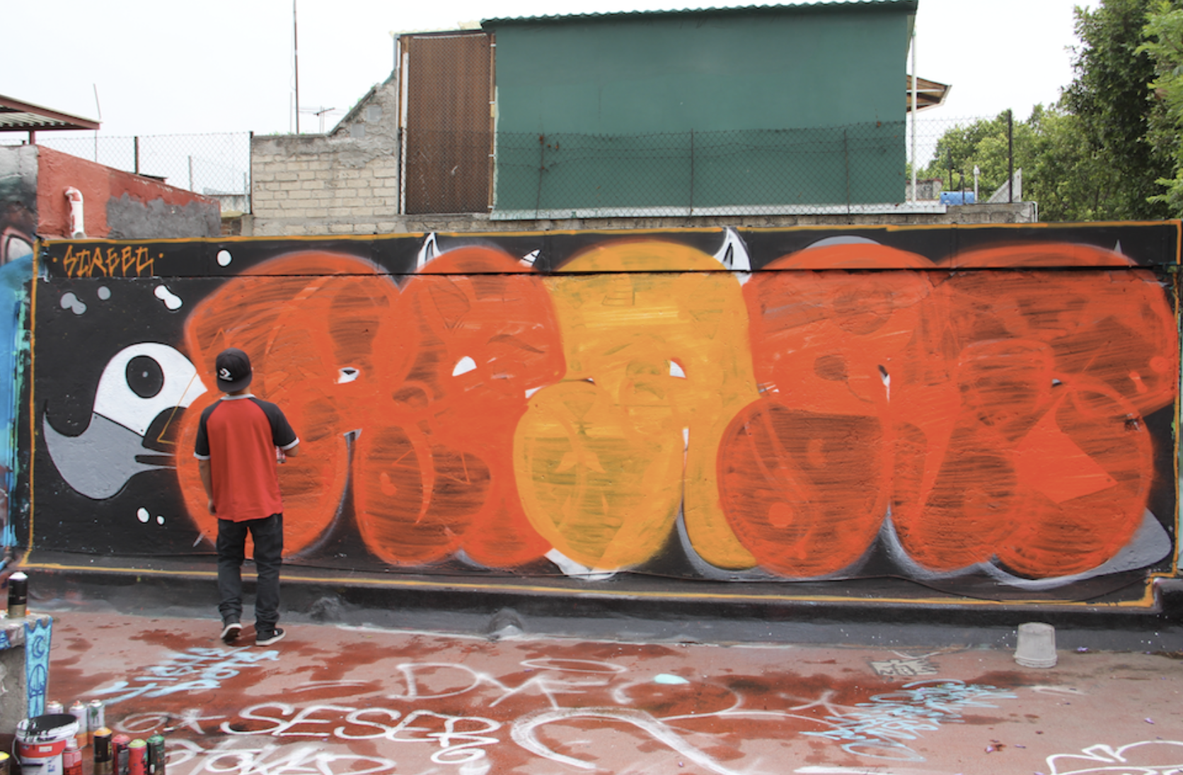 REANTS TM – Graffiti Playground
